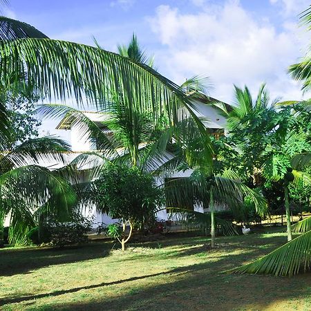 Coconut Garden House Hotel Udawalawe Bagian luar foto