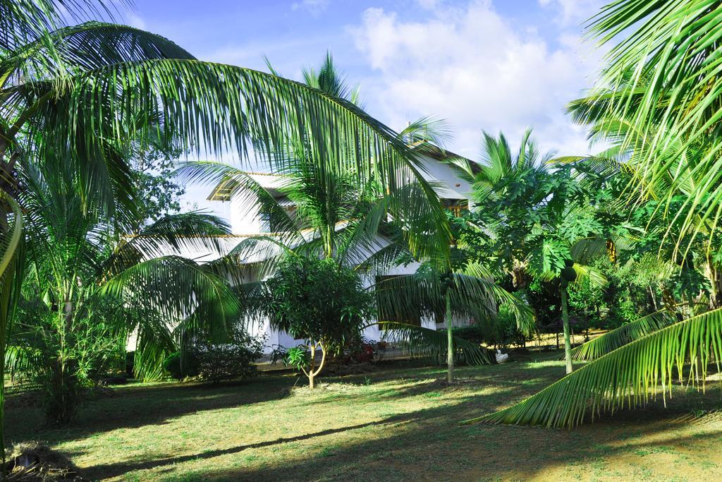 Coconut Garden House Hotel Udawalawe Bagian luar foto