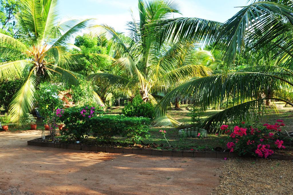 Coconut Garden House Hotel Udawalawe Bagian luar foto