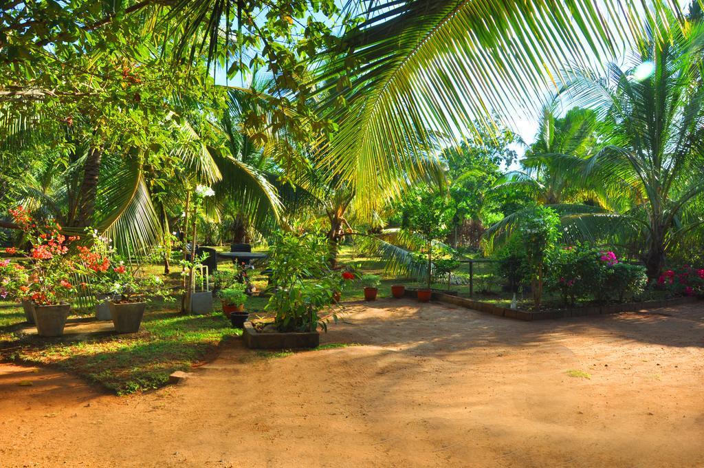 Coconut Garden House Hotel Udawalawe Bagian luar foto