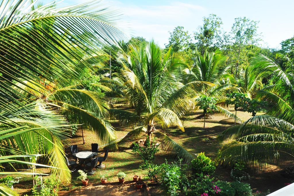 Coconut Garden House Hotel Udawalawe Bagian luar foto